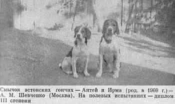 эг.jpg
